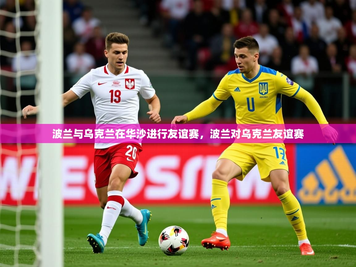 2025ued体育入口波兰与乌克兰在华沙进行友谊赛，波兰对乌克兰友谊赛  第3张