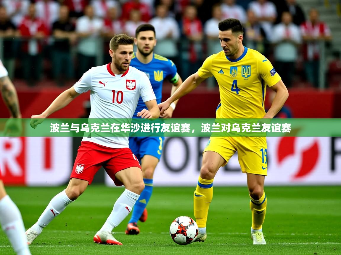 2025ued体育入口波兰与乌克兰在华沙进行友谊赛，波兰对乌克兰友谊赛  第4张