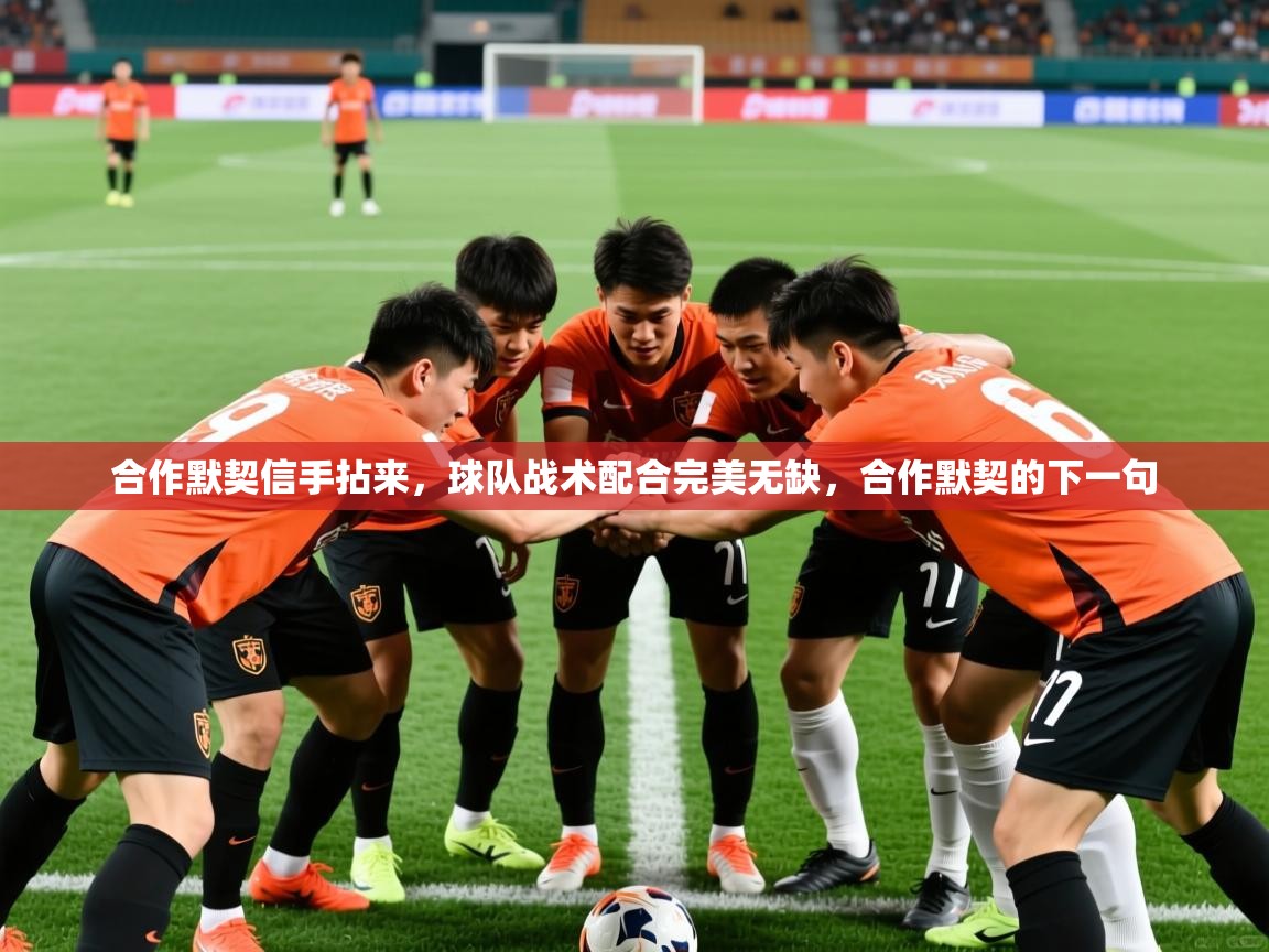 2025ued体育直播合作默契信手拈来，球队战术配合完美无缺，合作默契的下一句  第4张